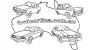 Cortina_outline_(Small).jpg