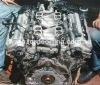 4lV8intake3.jpg