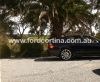 DSC01216a.JPG