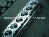 DSC01554.jpg