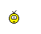 :bash